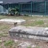 Investigan si la profanación de una tumba en el cementerio de Miami tiene relación con algún ritual (2)