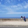Jóvenes cubanos no ven motivos para participar en elecciones generales de la Isla2
