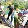 Pescadores de Matanzas capturan enorme pez espada de 400 libras de peso