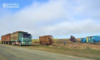 Sancionan a 35 trabajadores del central ‘Mario Muñoz’ por robo de azúcar