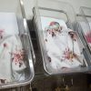 Trillizas recién nacidas en Camagüey no reciben ayuda del gobierno comunista