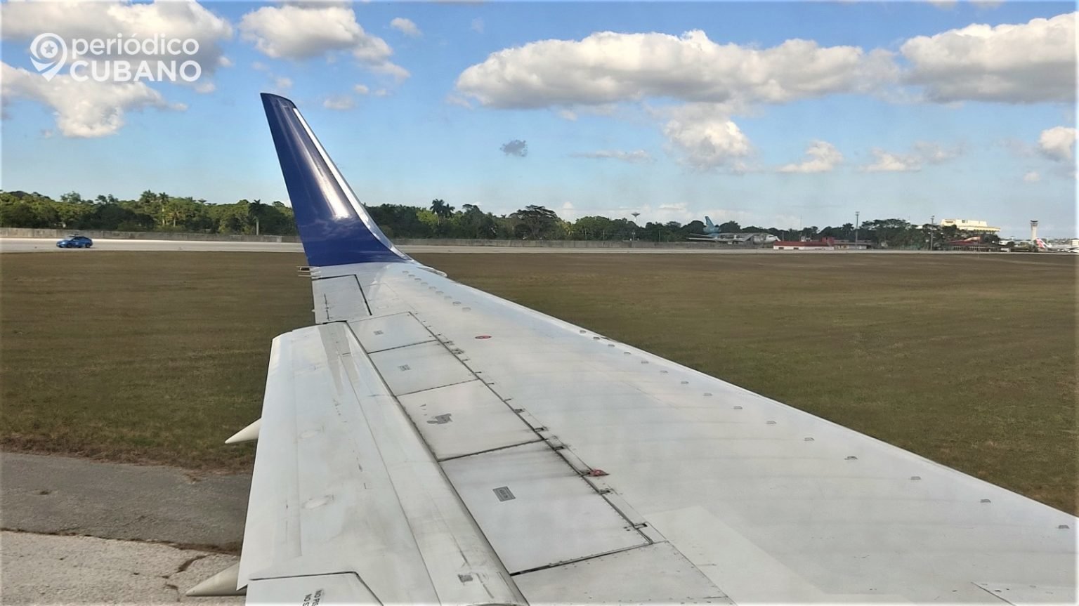¿Cuán frecuentes son los choques de aviones contra aves y cómo se