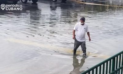 Bacteria carnívora podría aparecer en inundaciones provocadas por el huracán Milton