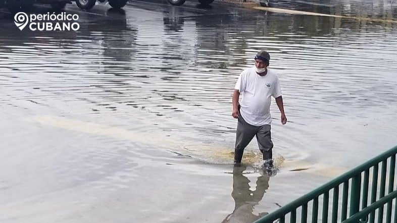 Bacteria carnívora podría aparecer en inundaciones provocadas por el huracán Milton