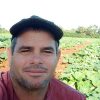 Campesinos cubanos piden a los dirigentes comunistas adoptar inteligencia artificial para la toma de decisiones