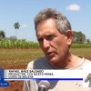 Escasez de alimentos y elevados precios Campesinos cubanos señalan a los culpables