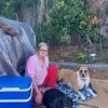 Inicia recaudación de dinero para una anciana cubana y sus mascotas sin hogar en Tampa (2)