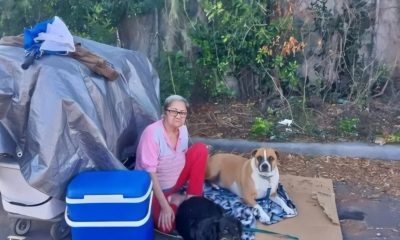 Inicia recaudación de dinero para una anciana cubana y sus mascotas sin hogar en Tampa (2)