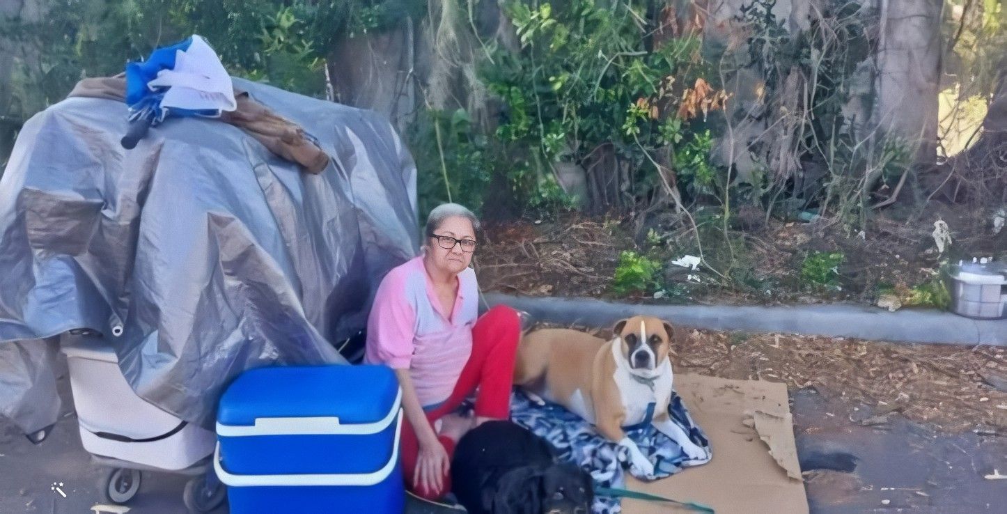 Inicia recaudación de dinero para una anciana cubana y sus mascotas sin hogar en Tampa (2)