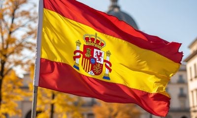 Ley de nietos bandera de España