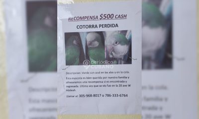 Ofrecen recompensa de 500 dólares a