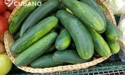 Pan con pepino en 30 CUP la última oferta de una cafetería cubana ante la crisis alimentaria