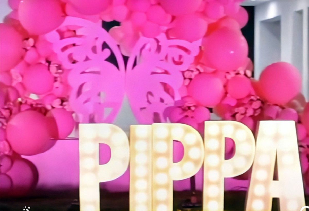 Recibimiento hija de Camila Guiribitey-Captura de pantalla-Camila Guiribitey-Instagram