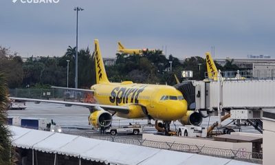 Spirit Airlines busca 4.000 trabajadores en el sur de la Florida Descubre cómo aplicar