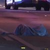 Accidente fatal entre un peatón y un vehículo en La Pequeña Habana (2)