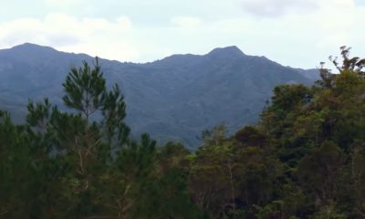 Antilles Gold obtiene permisos para explorar yacimientos de oro y cobre en la Sierra Maestra