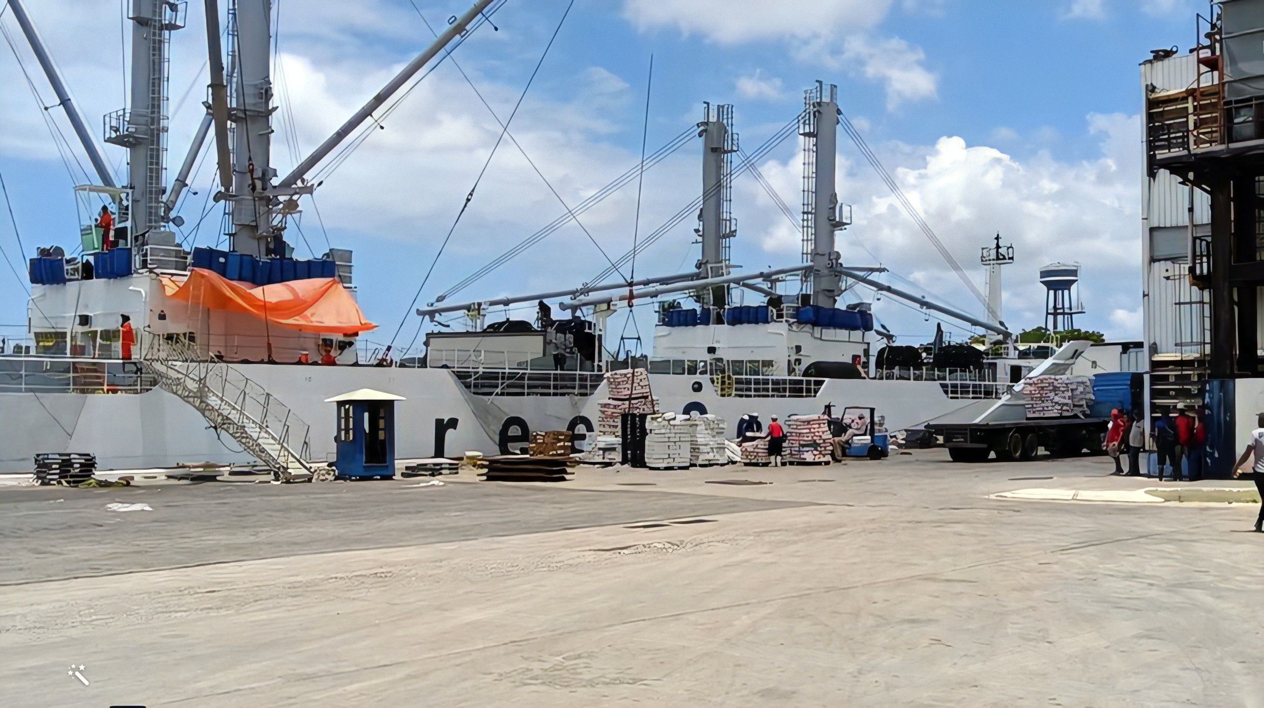 Barco con pollo de exportación llega a La Habana para cubrir la canasta básica de mayo