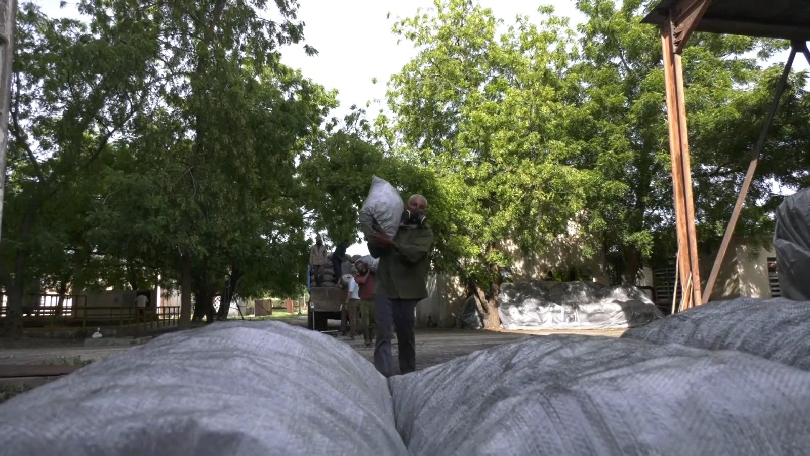 Empresa estatal de Granma exportan 300 toneladas de carbón vegetal de “alta calidad”