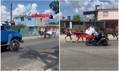 Escasez de gasolina en Cuba obliga a novios a utilizar un coche de caballos para ir a su boda (2)