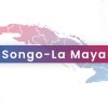 Songo La Maya atraviesa una crítica situación por brote del virus Oropouche