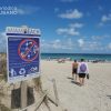 Trabajo voluntario en Miami permite recolección de más de 4 mil libras de basura en la costa
