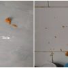 Alerta en La Habana por venta de croquetas explosivas_ un peligro para las familias cubanas