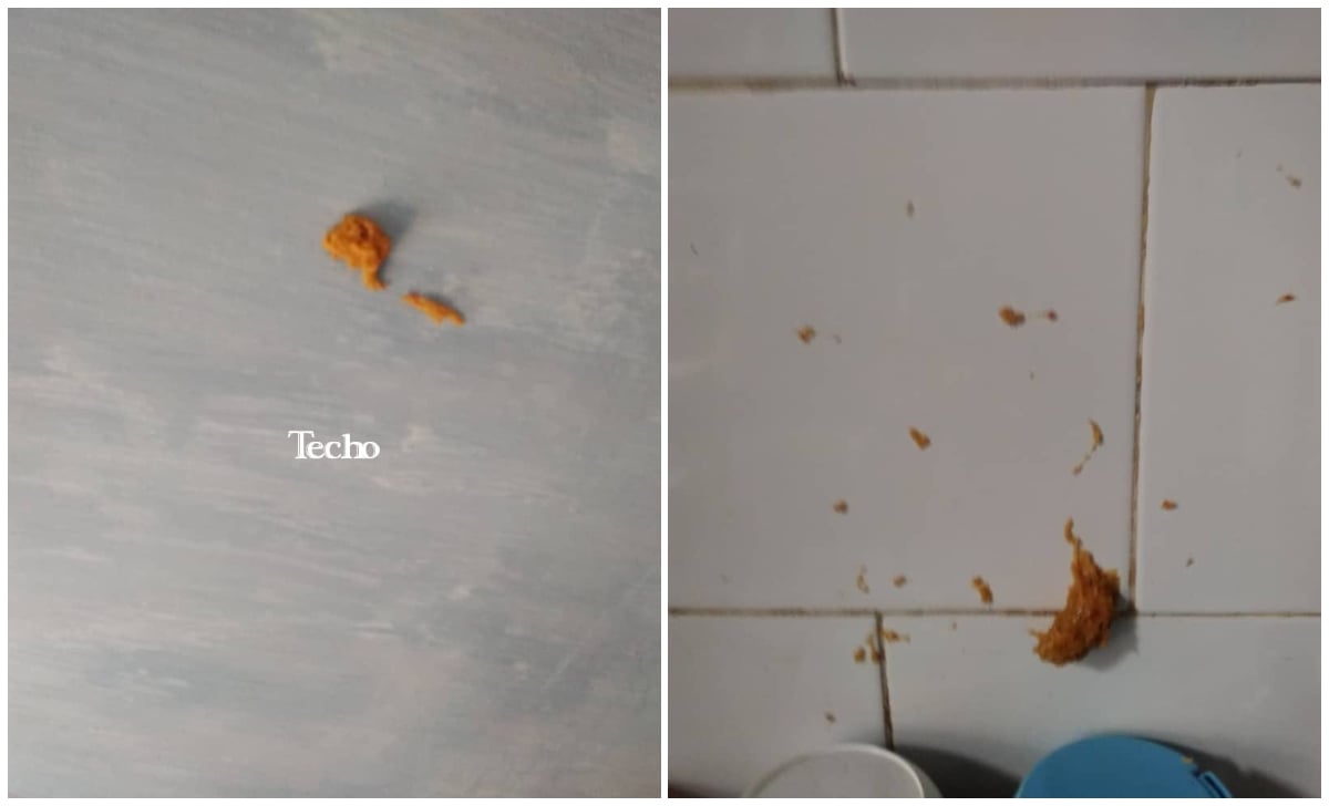 Alerta en La Habana por venta de croquetas explosivas_ un peligro para las familias cubanas