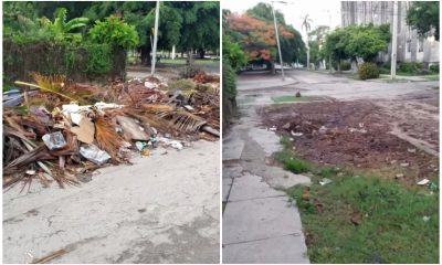 Después de una denuncia en Facebook recogen basura que estuvo tirada casi cuatro meses en el Vedado (2)