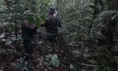 Hallan con vida a los niños desaparecidos 40 días tras accidente aéreo en la selva colombiana