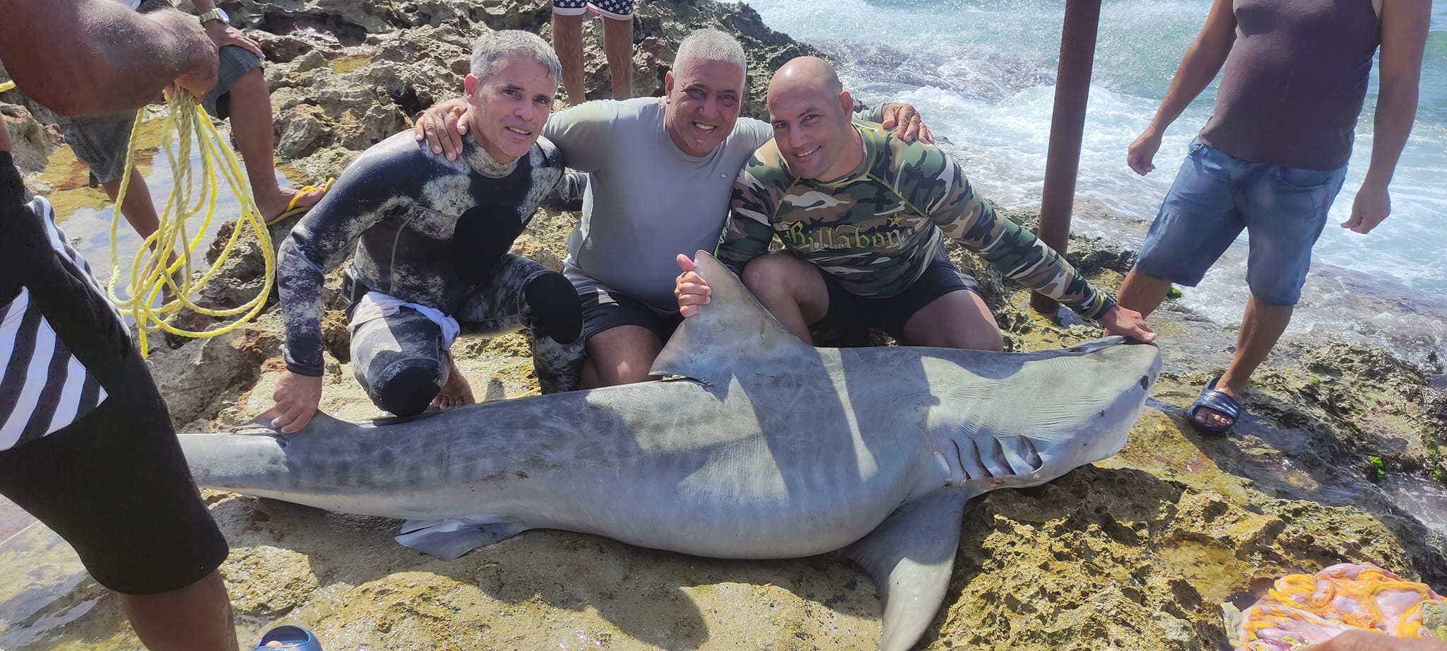 Pescadores de Santa Cruz del Norte capturan enorme tiburón tigre (2)