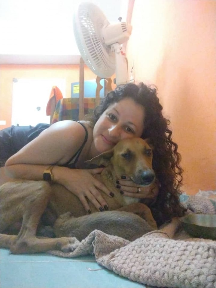 Voluntarios de BAC-Habana y bomberos rescatan a una perrita y su cachorro 2