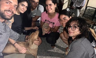 Voluntarios de BAC-Habana y bomberos rescatan a una perrita y su cachorro