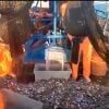 Aparecieron los peces en Cuba Ciego de Ávila exporta 94 toneladas de camarones
