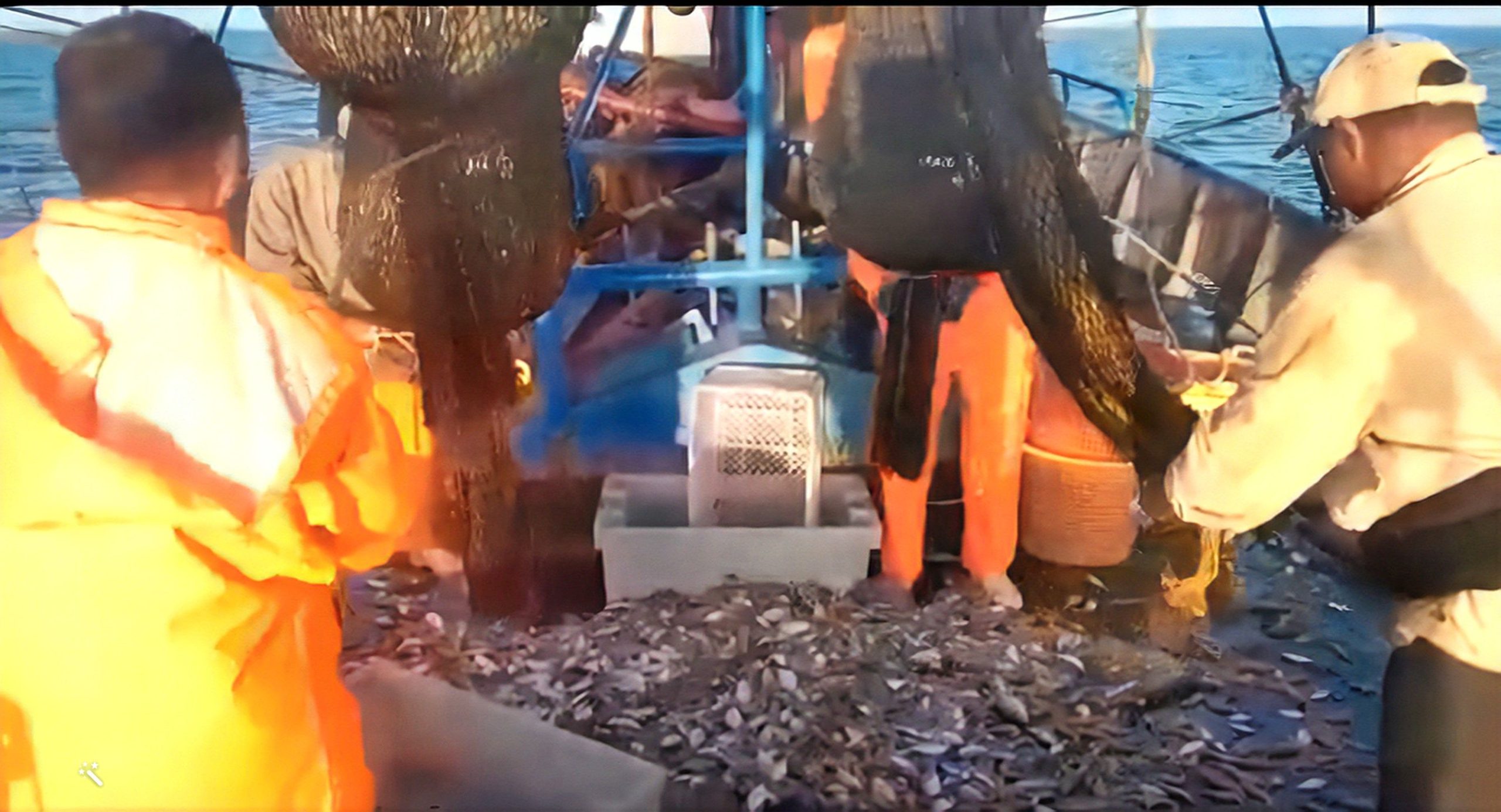 Aparecieron los peces en Cuba Ciego de Ávila exporta 94 toneladas de camarones
