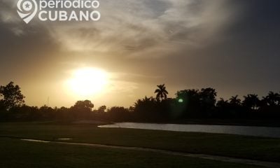 Las olas de calor, tanto en humanos como en animales, pueden tener consecuencias significativas para la salud.