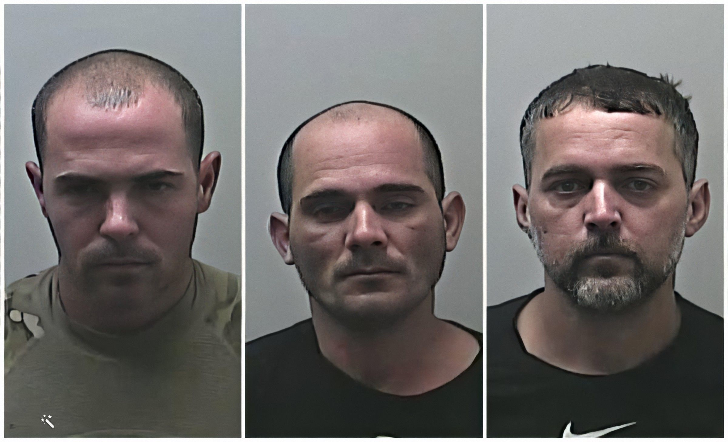 Cinco cubanos detenidos por sospecha de intento de robo a mano armada en Michigan (2)