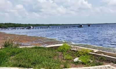 Encuentran el cuerpo del pescador desaparecido en naufragio al sur de Artemisa