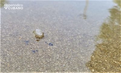 Granizo en Hialeah