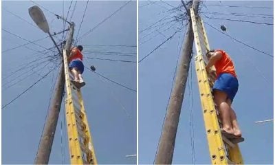 Rescata su propia gata ante negativa de bomberos y empresa eléctrica