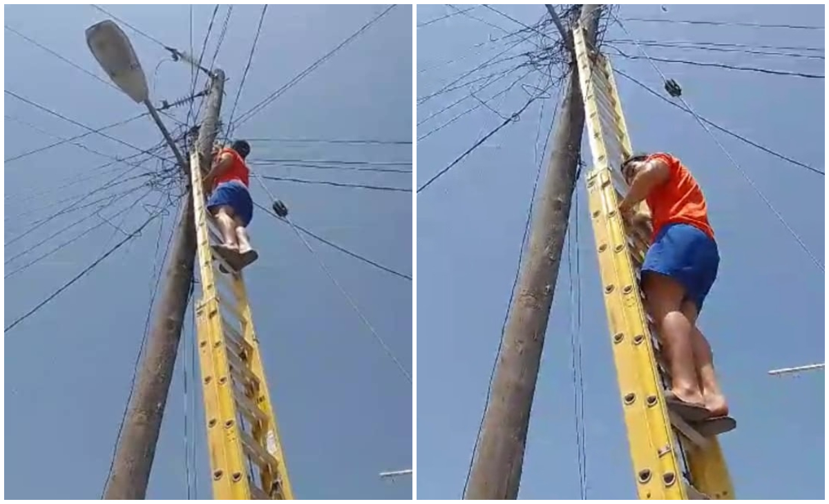 Rescata su propia gata ante negativa de bomberos y empresa eléctrica