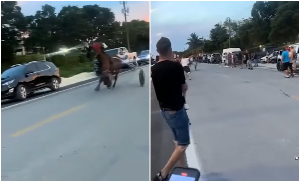 ¡Insólito! Cubanos hacen carreras de caballo en “arañas” por las calles de Miami