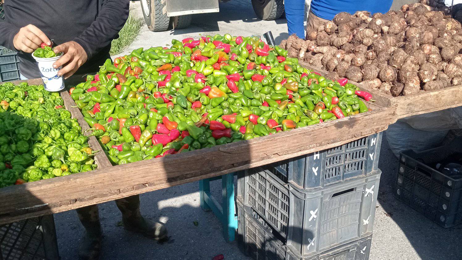 Cubano califica de “especulación y abuso” la venta de un pote de ají en ...