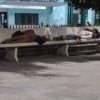 Familia cubana con niños se encuentra desamparada en las calles de Holguín