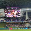 Récord para Cuba en la MLB tres bateadores alcanzan 35 HR en una misma temporada