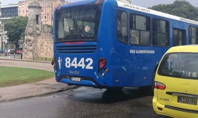 Anciano cubano cae de un ómnibus y fallece en La Habana