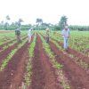 Prensa internacional califica de “alarmante” la crisis alimentaria en Cuba