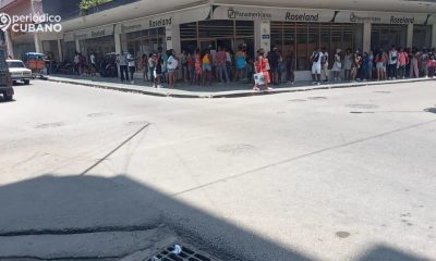 Si las importaciones de pollo marcaron récord en agosto por qué Cimex no tiene para vender