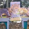 Suspenden el safari por el Parque Zoológico Nacional debido a crisis con el combustible (1)