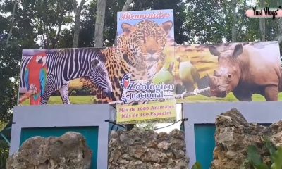 Suspenden el safari por el Parque Zoológico Nacional debido a crisis con el combustible (1)