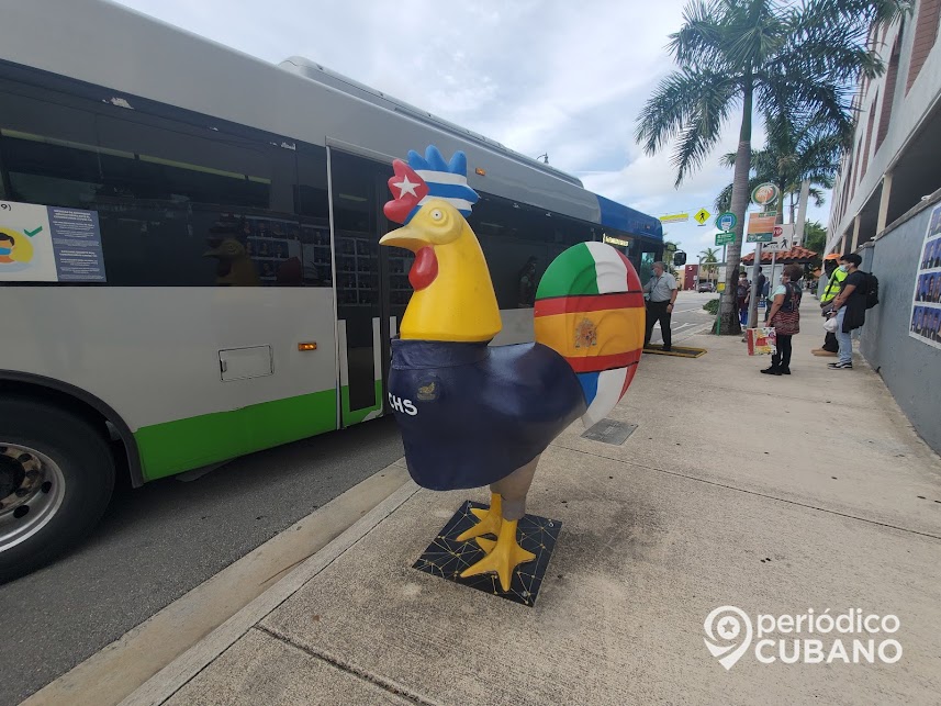 Cómo funcionará el transporte público en Miami-Dade durante este Día de Acción de Gracias